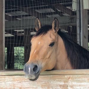 Meet your Posher, Sheri